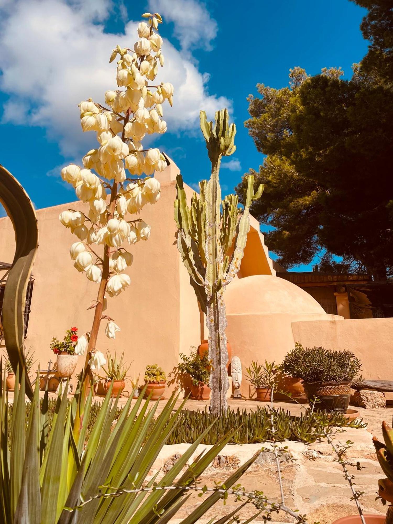 Finca Can Toni Sant Jordi de ses Salines Εξωτερικό φωτογραφία
